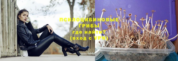 jwh Алзамай