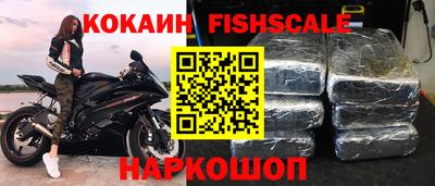 дмт Кингисепп