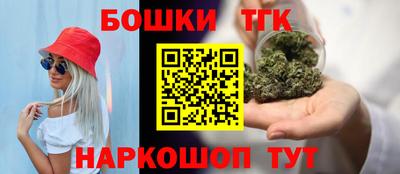 дмт Кингисепп