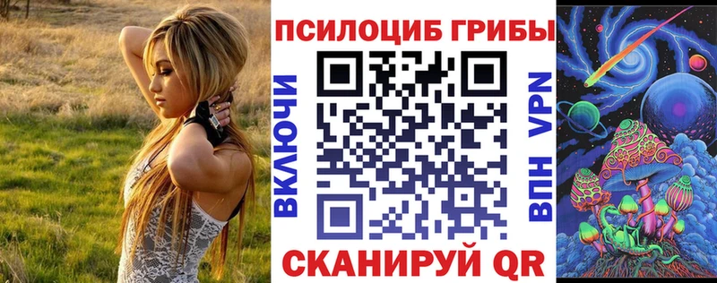 наркота  Электрогорск  kraken ТОР  Галлюциногенные грибы Psilocybe 