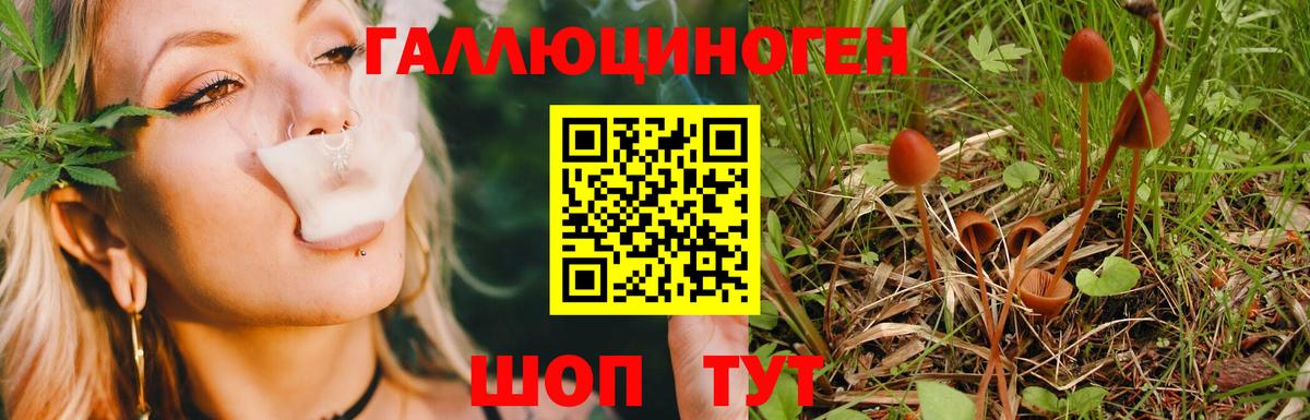 Галлюциногенные грибы мухоморы Электрогорск