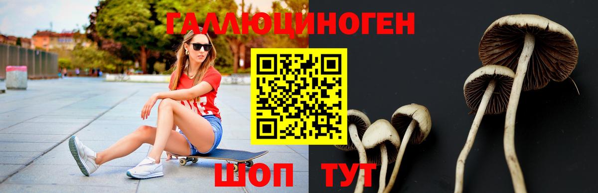 Галлюциногенные грибы Cubensis  Вход с VPN  Электрогорск 